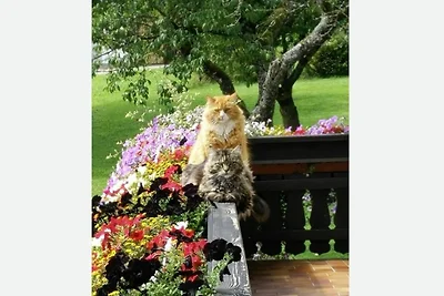 Doppelzimmer Gartenblick