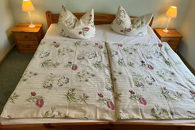 3-Raum-Ferienwohung bis 4 Pers. + Baby, Links