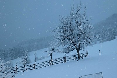 Vakantieappartement Gezinsvakantie Annaberg im Lammertal
