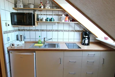 SLS/312 Lachmöwe, Hörnum
