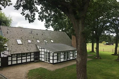 Weideblick