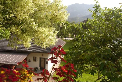 Vakantieappartement Gezinsvakantie Bad Goisern