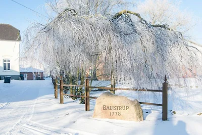 Backhaus