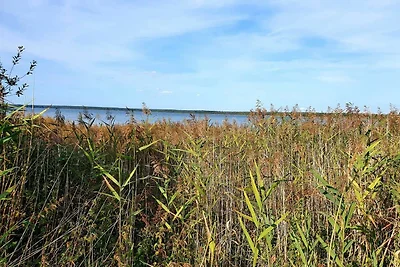 Appartamento Vacanza con famiglia Göhren-Lebbin