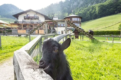 hotel Kultura & zwiedzanie Strobl am Wolfgangsee