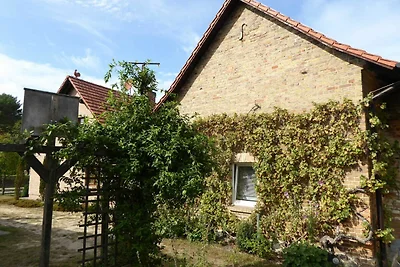 Vakantieappartement Gezinsvakantie Wustrow (Ostsee)