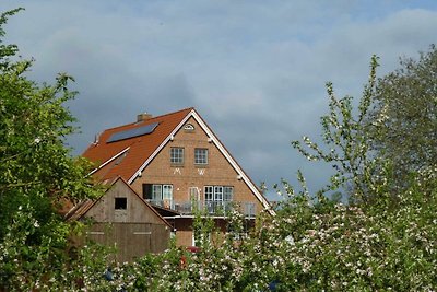 Vakantieappartement Gezinsvakantie Drochtersen Krautsand