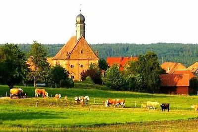 Hotel Cultuur en bezienswaardigheden Miltenberg