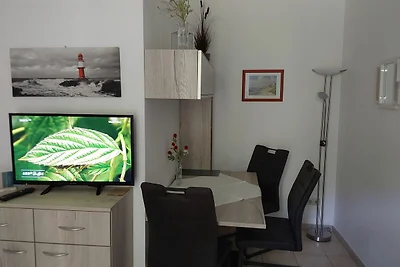Albergo Cultura ed escursioni Dierhagen