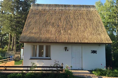 Vakantiehuis Ontspannende vakantie Sundhagen