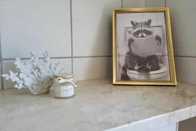 Ferienhaus Graf Ankerplatz