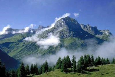 Dreibettzimmer Alpenrose