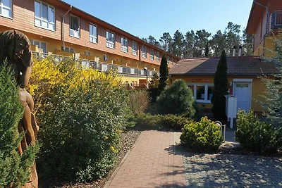 Albergo Cultura ed escursioni Zempin