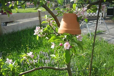 Appartamento Vacanza con famiglia Schliersee