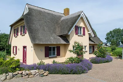 Uns Droomhus in Gager | Ferienhaus