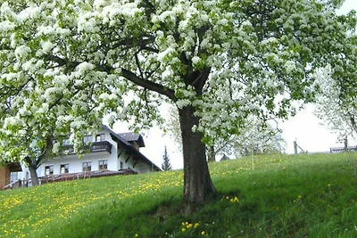 apartman za odmor Obiteljski odmor Altmünster