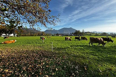 Ferienwohnung Schafberg