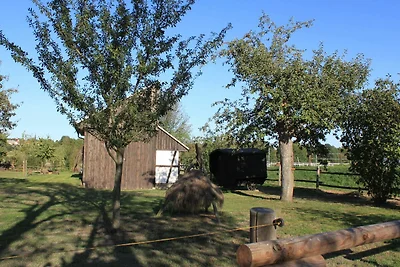 Schäferwagen 1