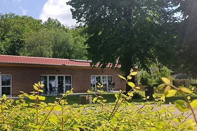 Vakantieappartement Gezinsvakantie Schwielowsee