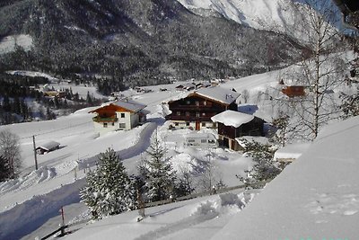 Vakantieappartement Gezinsvakantie Steinberg am Rofan