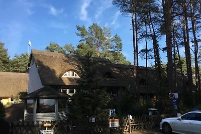 Ferienhaus Dünenwald 1-2 SZ bis max. 4 Pers.