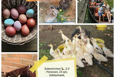 Vakantieappartement Gezinsvakantie Vetschau