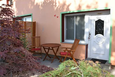 Albergo Cultura ed escursioni Mellenthin