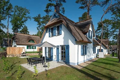 Vakantiehuis Ontspannende vakantie Zirchow