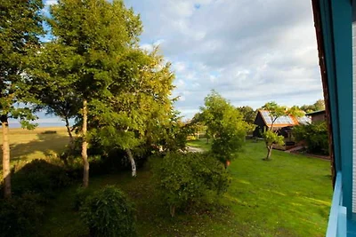 Casa vacanze Vacanza di relax Saal in Vorpommern
