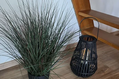 apartman za odmor Obiteljski odmor Varel