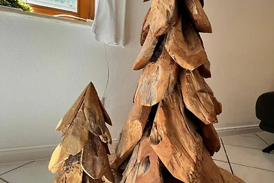 Vakantieappartement Gezinsvakantie Walkenried