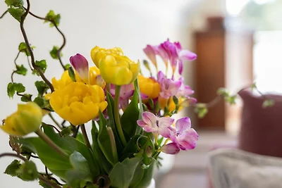 apartman za odmor Obiteljski odmor Born
