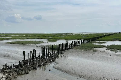 Vakantiehuis Ontspannende vakantie Friedrichskoog