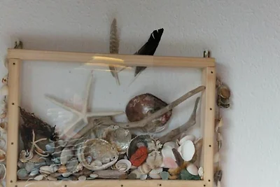 neu