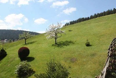 Appartamento Vacanza con famiglia Baiersbronn