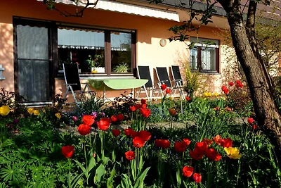 Vakantieappartement Gezinsvakantie Neckargemünd