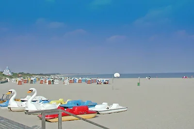 Domek letniskowy Urlop wypoczynkowy Damp