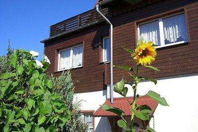 Hotel Cultuur en bezienswaardigheden Elbingerode