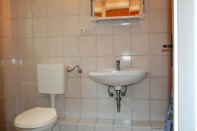 Grauer Esel E2