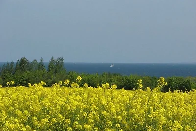 Kirchblick an der Ostsee - nur für Feriengäst...