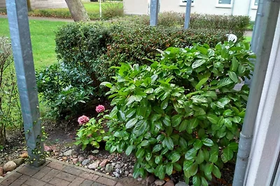 1-Raum (S2) App. 205