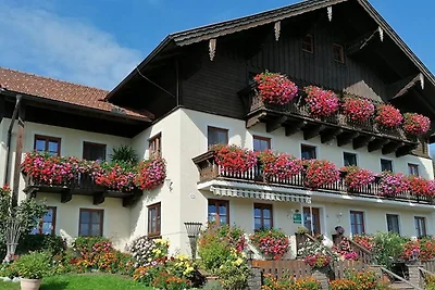 Appartamento Vacanza con famiglia Mondsee