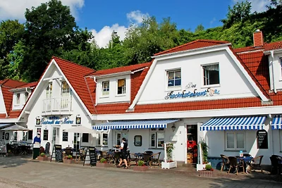Albergo Cultura ed escursioni Sassnitz