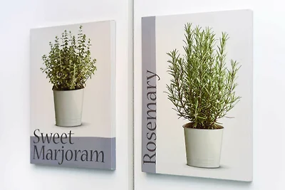 Vakantieappartement Gezinsvakantie Neuharlingersiel