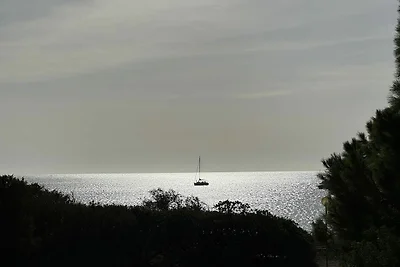 Villa Olivastro - Nr. S344