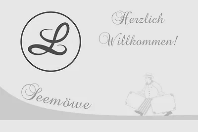 Seemöwe (6)