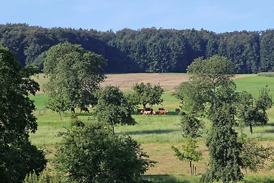 Ferienwohnung Bergblick