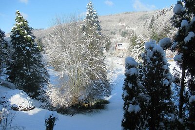 Vierbettzimmer mit Dusche und WC