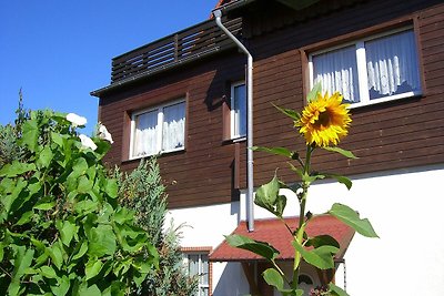 Hotel Cultuur en bezienswaardigheden Oberharz am Brocken