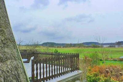 Ferienhaus Feissneckblick